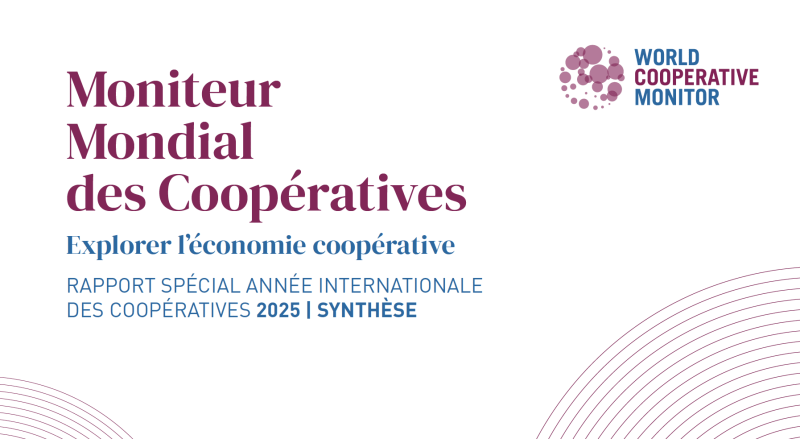 Monitor exec summary fr